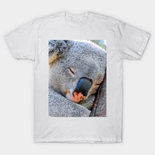 Koala T-Shirt